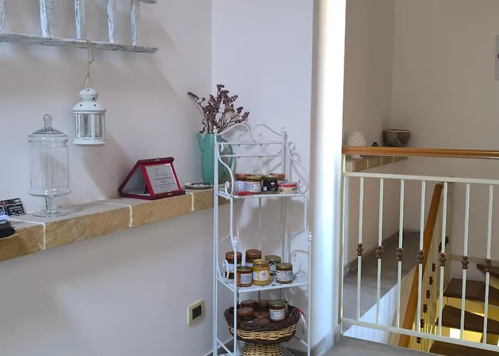Opera House Bed and Breakfast 3*