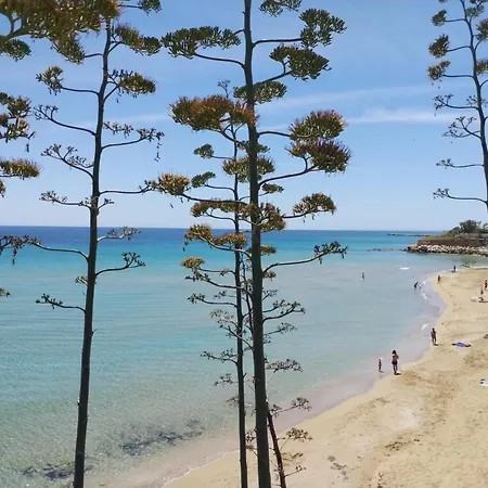 Opera House Nocleg ze śniadaniem Avola