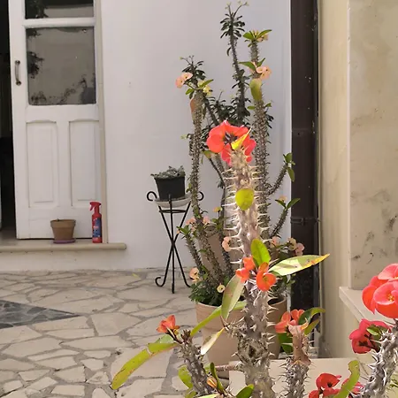 Opera House Nocleg ze śniadaniem 3*