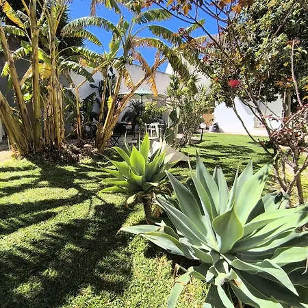 Nocleg ze śniadaniem Opera House 3*