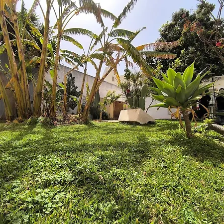 Opera House Nocleg ze śniadaniem